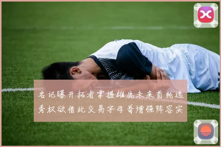 名记曝开拓者掌握雄鹿未来首轮选秀权欲借此交易字母哥增强阵容实力
