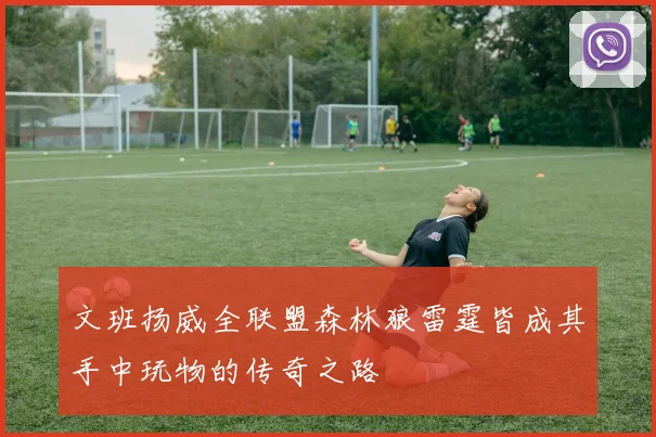 文班扬威全联盟森林狼雷霆皆成其手中玩物的传奇之路